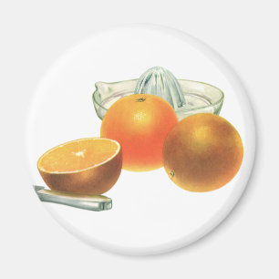 Vintage Food Fruit, Ripe Oranges Juicer Breakfast Magnet