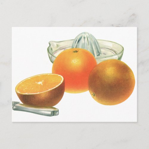 Vintage Food Fruit Ripe Oranges Juicer Breakfast Postcard
