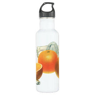 Vintage Food Fruit, Ripe Oranges Juicer Breakfast Stainless Steel Water Bottle
