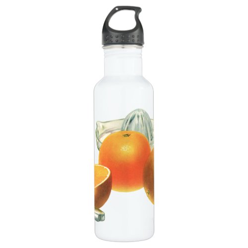 Vintage Food Fruit Ripe Oranges Juicer Breakfast Stainless Steel Water Bottle