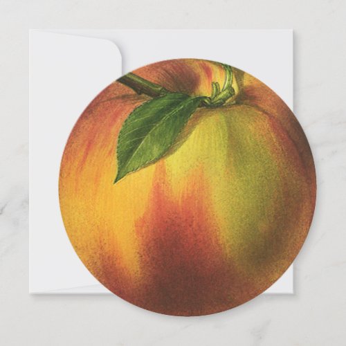 Vintage Food Fruit Ripe Organic Peach with Leaf