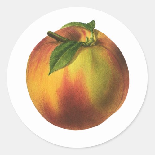 Vintage Food Fruit Ripe Organic Peach with Leaf Classic Round Sticker