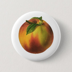 Vintage Food Fruit, Ripe Organic Peach with Leaf Pinback Button