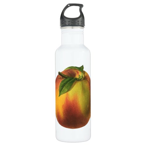 Vintage Food Fruit Ripe Organic Peach with Leaf Stainless Steel Water Bottle