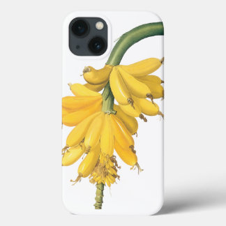 Vintage Food Fruit, Tropical Bananas by Redoute iPhone 13 Case