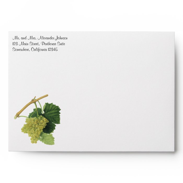 Vintage Food Fruit, White Wine Grapes on the Vine Envelopes