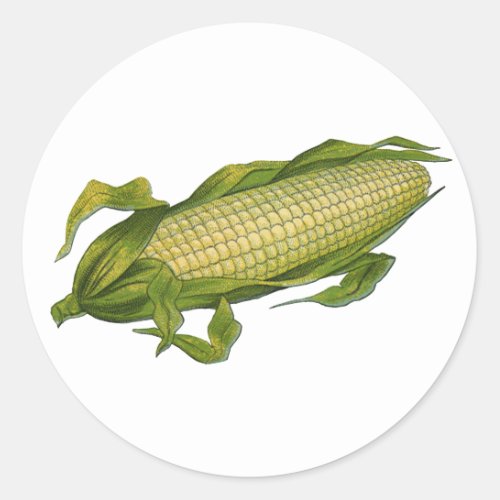 Vintage Food Healthy Vegetables Corn on the Cob Classic Round Sticker