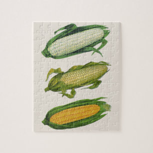 Vintage Food Healthy Vegetables, Fresh Corn on Cob Jigsaw Puzzle