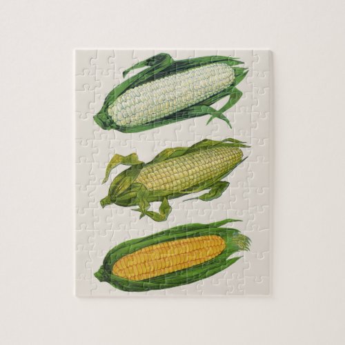 Vintage Food Healthy Vegetables Fresh Corn on Cob Jigsaw Puzzle