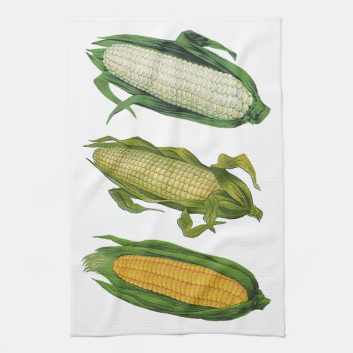 Vintage Food Healthy Vegetables Fresh Corn on Cob Kitchen Towel