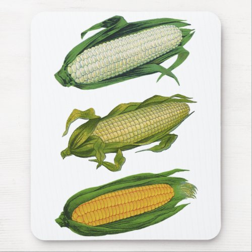 Vintage Food Healthy Vegetables Fresh Corn on Cob Mouse Pad