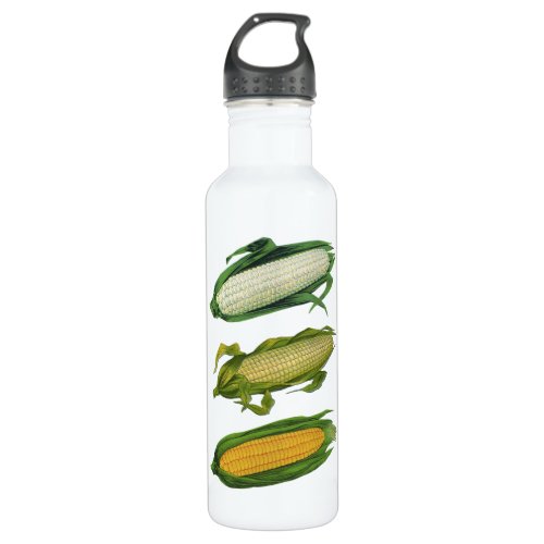 Vintage Food Healthy Vegetables Fresh Corn on Cob Stainless Steel Water Bottle