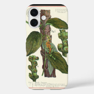 Vintage Food Herbs Spices, Black Pepper Plant iPhone 16 Case