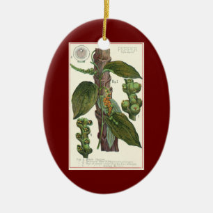 Vintage Food Herbs Spices, Black Pepper Plant Ceramic Ornament