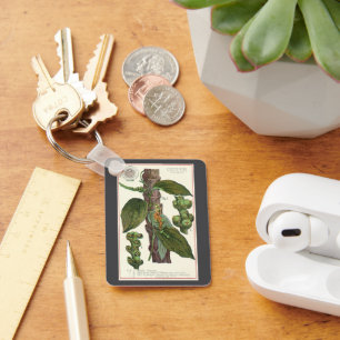 Vintage Food Herbs Spices, Black Pepper Plant Keychain