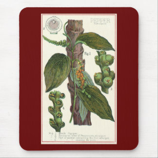 Vintage Food Herbs Spices, Black Pepper Plant Mouse Pad