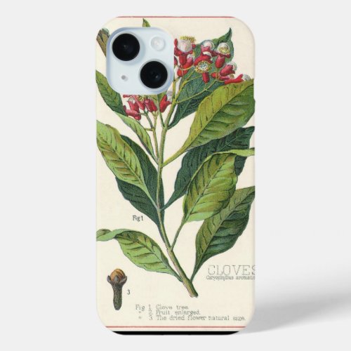 Vintage Food Herbs Spices Cloves Plant iPhone 15 Case