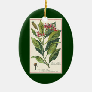Vintage Food Herbs Spices, Cloves Plant Ceramic Ornament