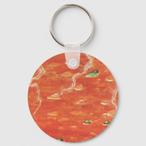 Vintage Food Hot Bowl of Tomato Soup with Peas Keychain