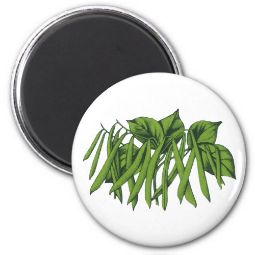 Vintage Food Organic Green Beans Vegetables Magnet