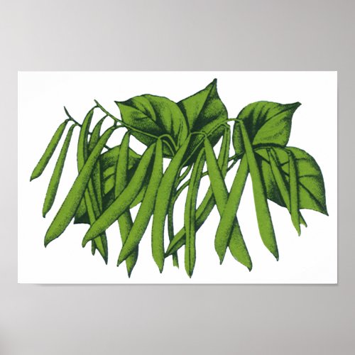 Vintage Food Organic Green Beans Vegetables Poster