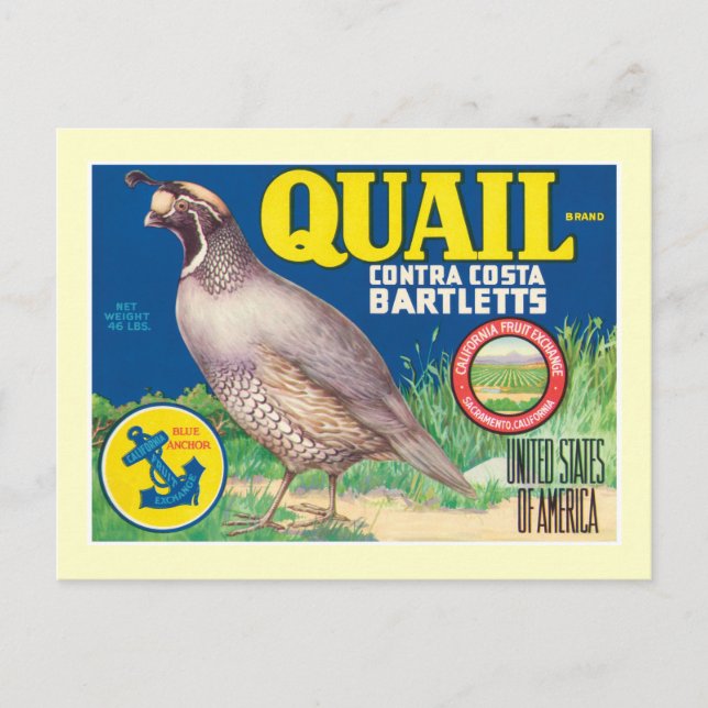 Vintage Food Product Label Postcard (Front)