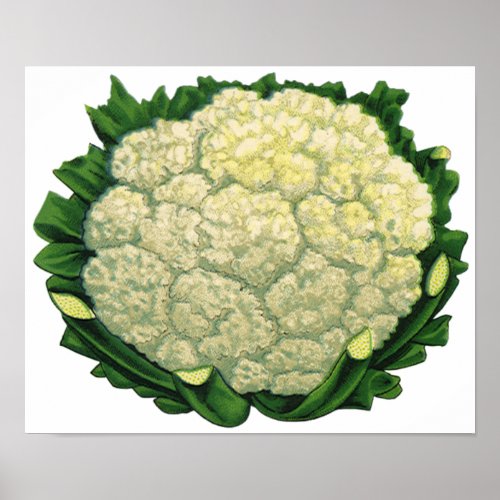 Vintage Food Vegetables Veggies Cauliflower Poster