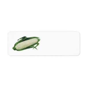 Vintage Food Vegetables White Corn on the Cob Label
