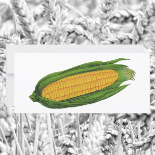 Vintage Food Vegetables; Yellow Corn on the Cob
