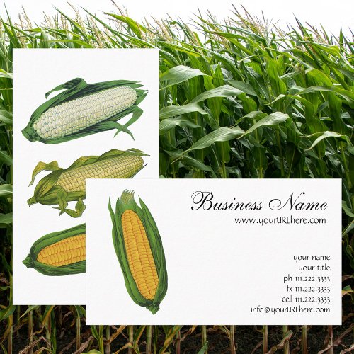Vintage Food Vegetables Yellow Corn on the Cob Business Card