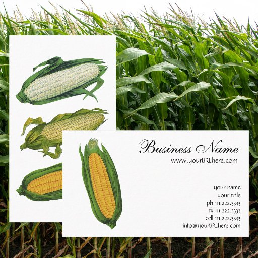 Customizable Vintage Food Vegetables; Yellow Corn on the Cob Business Card Templates