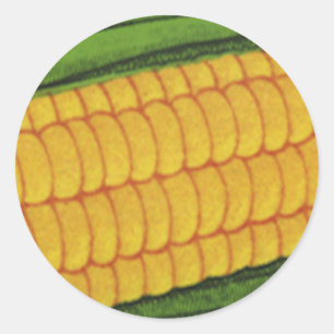 Vintage Food Vegetables; Yellow Corn on the Cob Classic Round Sticker
