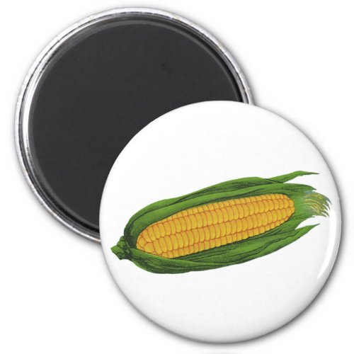 Vintage Food Vegetables Yellow Corn on the Cob Magnet