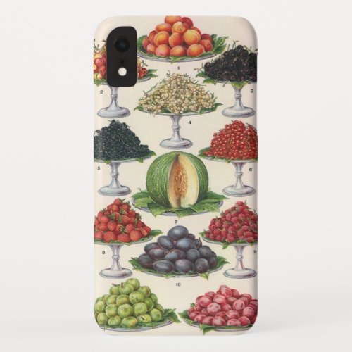 Vintage Foods Assorted Fruit on Trays for Catering iPhone XR Case