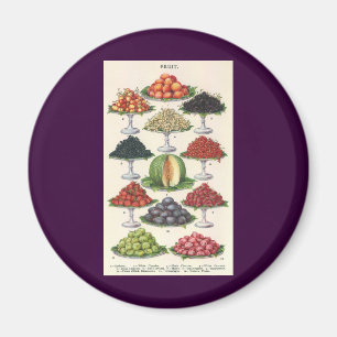 Vintage Foods Assorted Fruit on Trays for Catering Magnet
