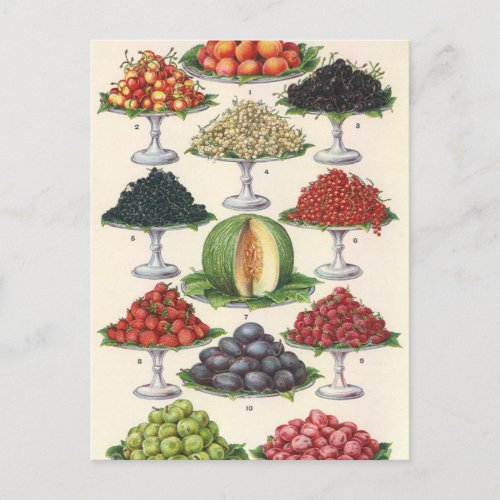 Vintage Foods Assorted Fruit on Trays for Catering Postcard