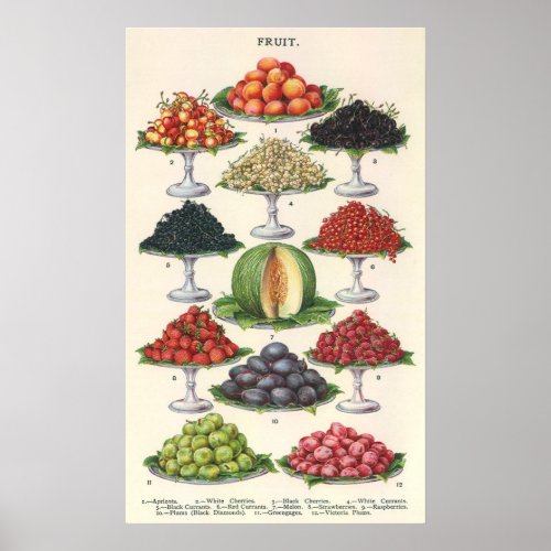 Vintage Foods Assorted Fruit on Trays for Catering Poster