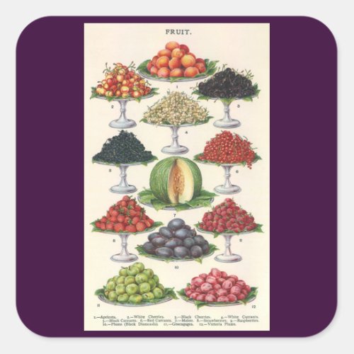 Vintage Foods Assorted Fruit on Trays for Catering Square Sticker