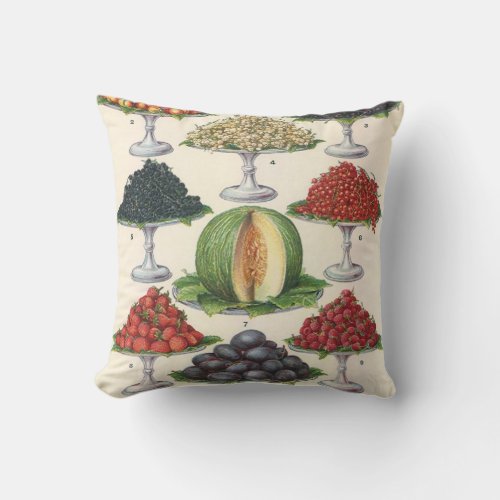 Vintage Foods Assorted Fruit on Trays for Catering Throw Pillow