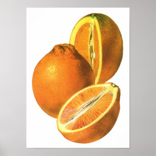 Vintage Foods, Fruit Organic Fresh Healthy Oranges Poster