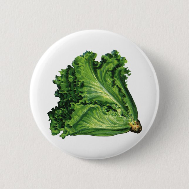 Vintage Foods, Green Leaf Lettuce Vegetables Pinback Button (Front)