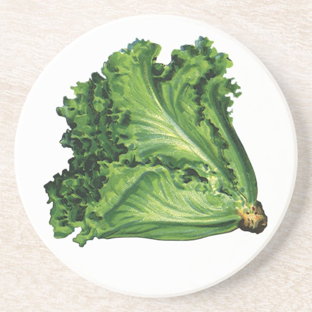 Vintage Foods, Green Leaf Lettuce Vegetables Sandstone Coaster (Front)