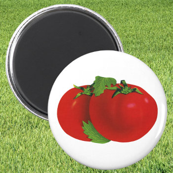 Vintage Foods  Organic Red Ripe Heirloom Tomato Magnet by YesterdayCafe at Zazzle