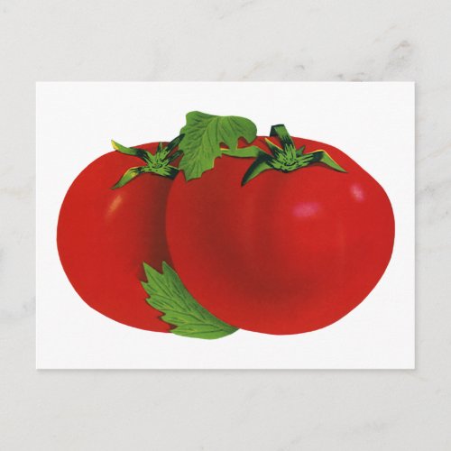 Vintage Foods Organic Red Ripe Heirloom Tomato Postcard