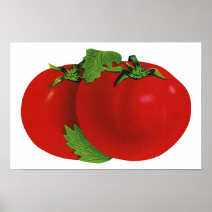 Vintage Foods, Organic Red Ripe Heirloom Tomato Poster