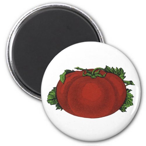 Vintage Foods Ripe Tomato Vegetables and Fruits Magnet