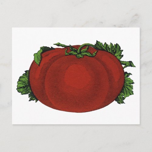 Vintage Foods Ripe Tomato Vegetables and Fruits Postcard