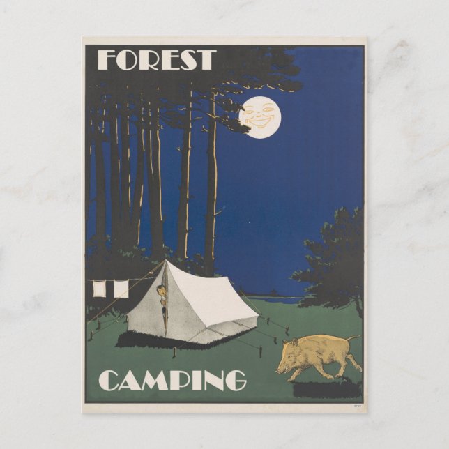 Vintage Forest Camping Travel Postcard (Front)