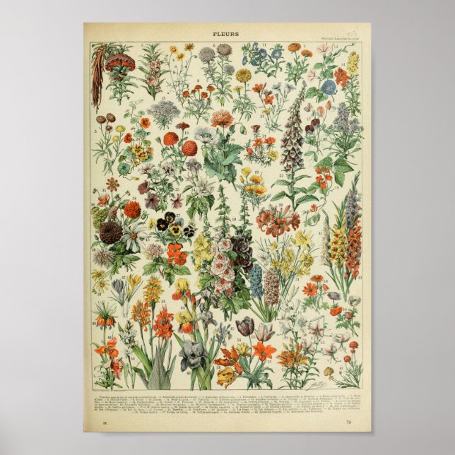 Vintage Forest Floral Flower Plant Poster (Front)