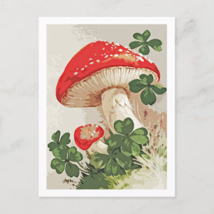 Vintage Forest Mushroom Lucky Clover Postcard